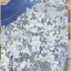 Mapa Grunwald 2025
